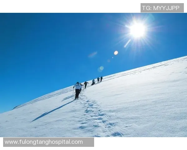 重庆极限运动队的团队协作探秘与挑战精神的完美结合